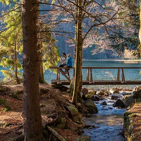 Am Mühlenbach Im Haus Hohfels, 2 Schlafzimmer, Todtnau-muggenbrunn, Hochschwarzwald Muggenbrunn